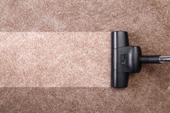 Experienced Lacey Based Carpet Cleaning