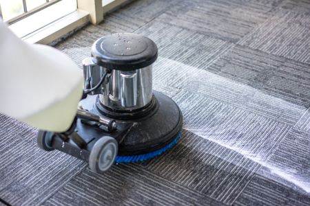 Local Carpet Cleaning In Olympia